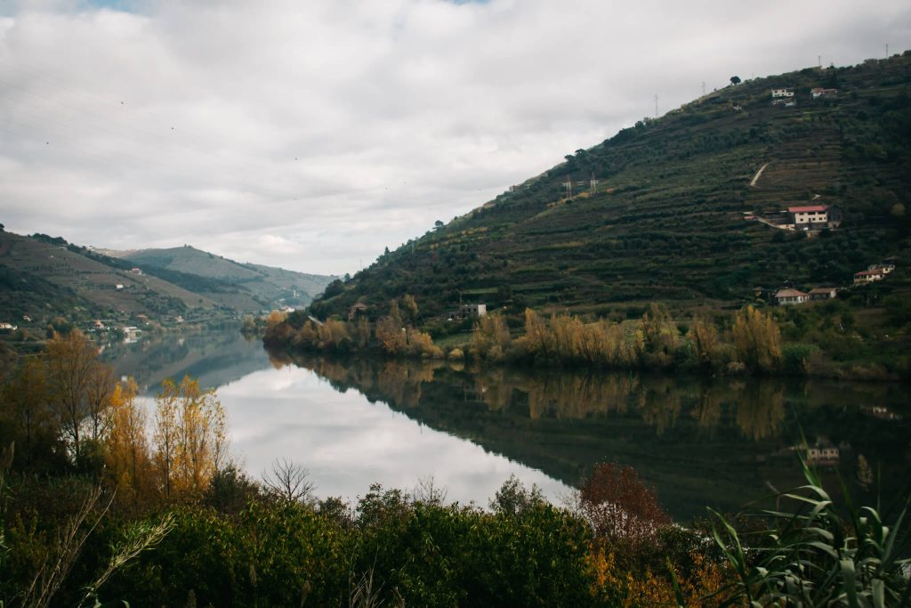 autumn-reflection-douro-river-vineyard-hills