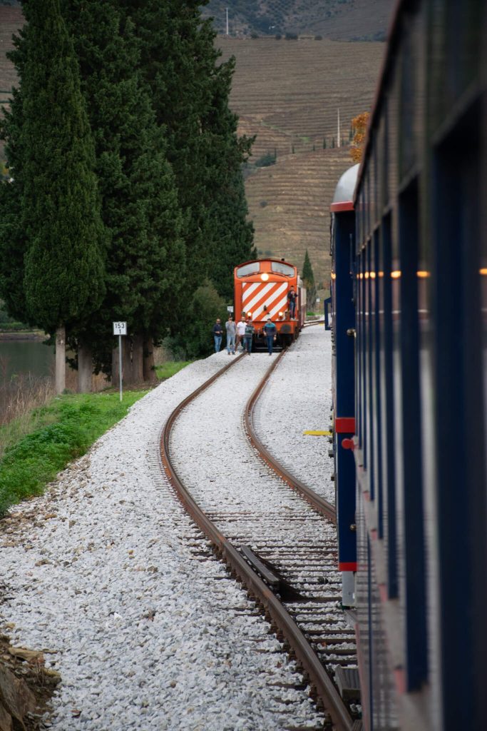 curving-douro-train-passing-through-villages