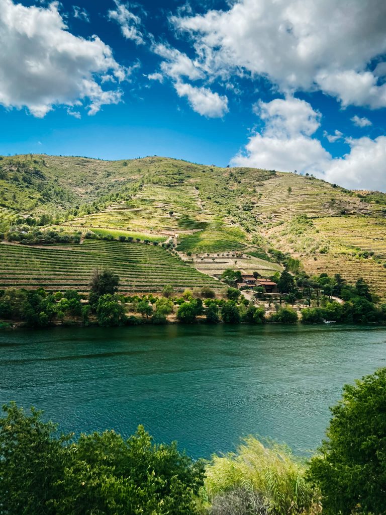 douro-valley-vineyards-river-scenic-landscape