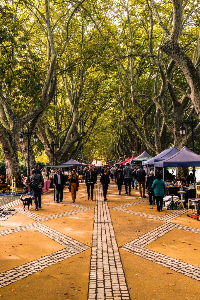 ponte-de-lima-open-air-market-plane-tree-avenue-portugal