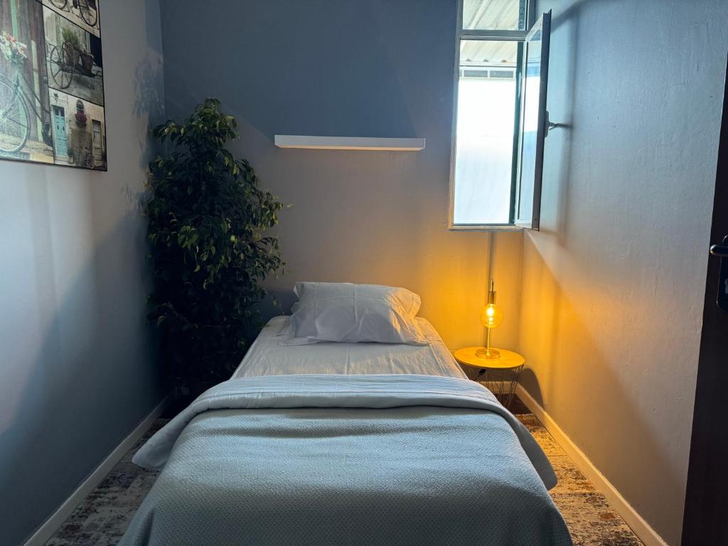 residencial-funchal-single-room-cosy-light-funchal-portugal