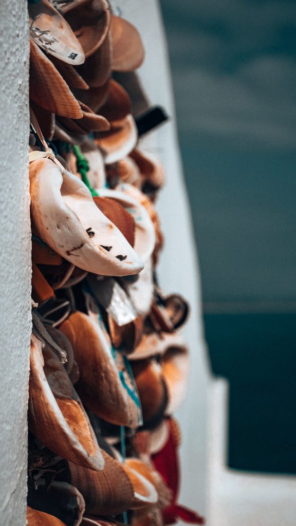 shell-souvenir-wall-art-algarve-coast