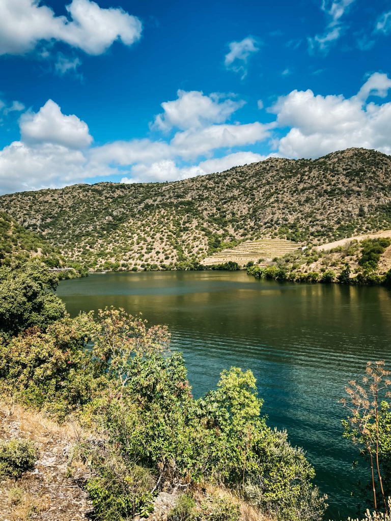 arribes-del-duero-green-hills-river-view-spain