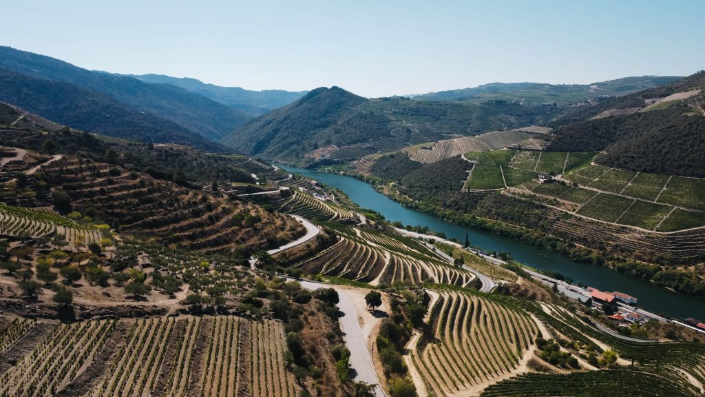 douro-valley-terraced-vineyards-river-view-portugal