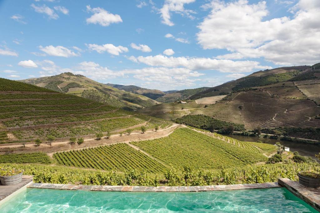 quinta-nova-vineyard-pool-view-douro-valley-portugal
