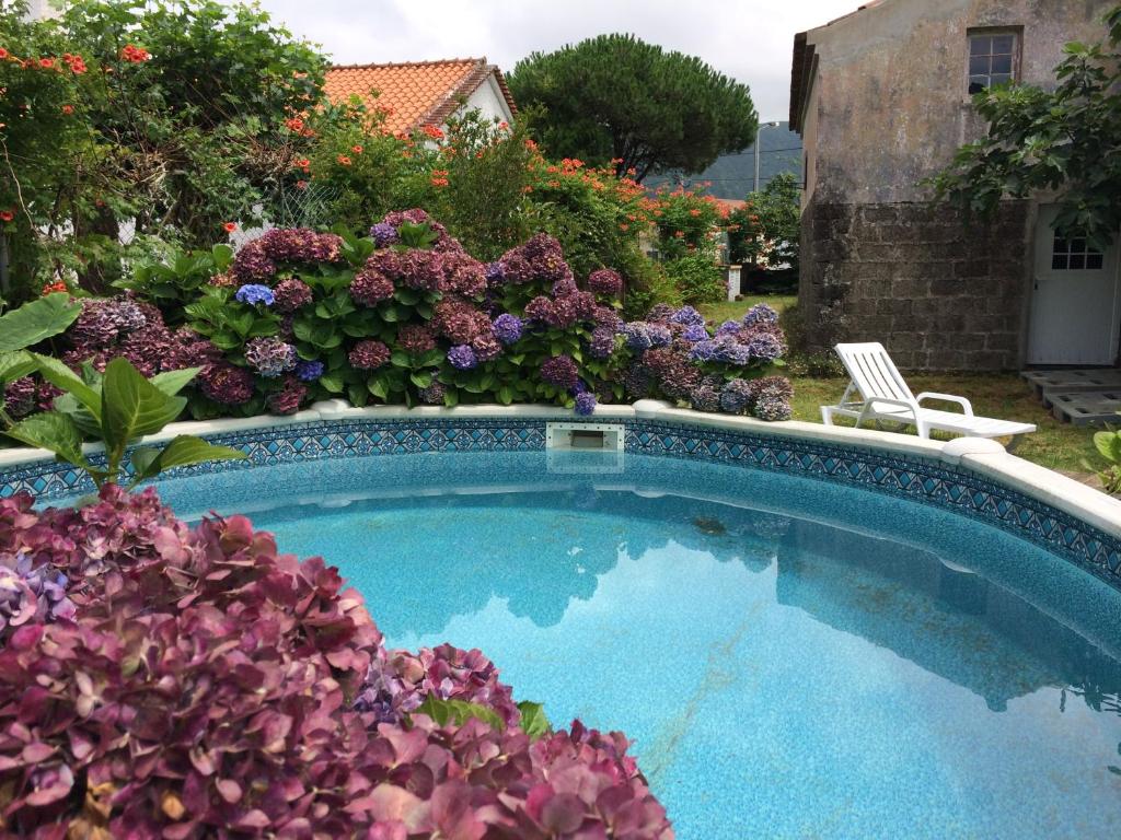 sao-miguel-azores-casa-dos-platanos-garden-pool-hydrangeas-lifestyle